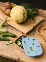 Nursery-Mealtime-Lunch box Arthur - LIEWOOD 
