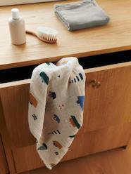 Set of 2 printed muslin swaddles - LIEWOOD