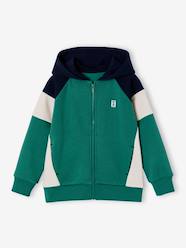 Boys-Zipped hooded sweatshirt for boys with colour block design 