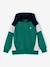 Zipped hooded sweatshirt for boys with colour block design bordeaux red+green+marl grey+medium blue+ochre 