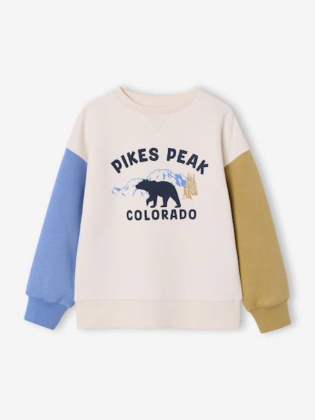 Round-neck sweatshirt with long sleeves for boys multicoloured 