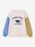Round-neck sweatshirt with long sleeves for boys multicoloured 