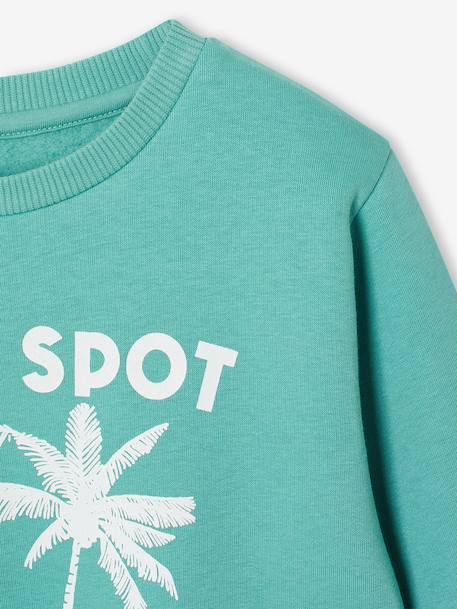 Fancy Sweatshirt for Boys green+marl white+ochre+pale blue 