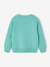Fancy Sweatshirt for Boys green+marl white+ochre+pale blue 