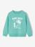 Fancy Sweatshirt for Boys green+marl white+ochre+pale blue 