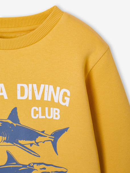Fancy Sweatshirt for Boys green+marl white+ochre+pale blue 