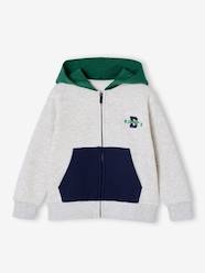 Boys-Zipped hooded sweatshirt for boys 