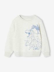 Boys-Fancy Sweatshirt for Boys