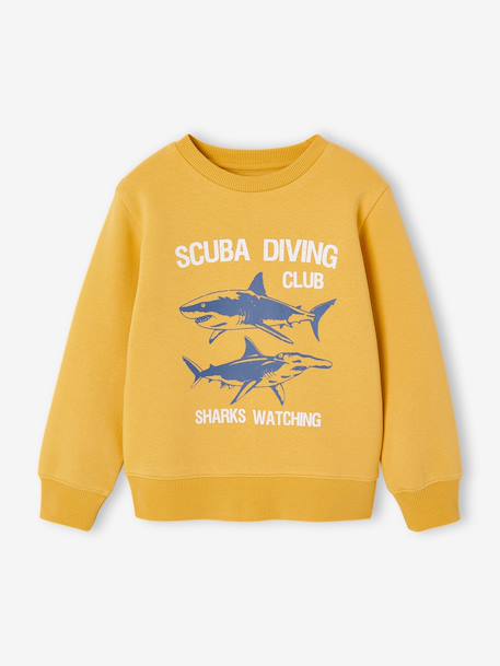 Fancy Sweatshirt for Boys green+marl white+ochre+pale blue 