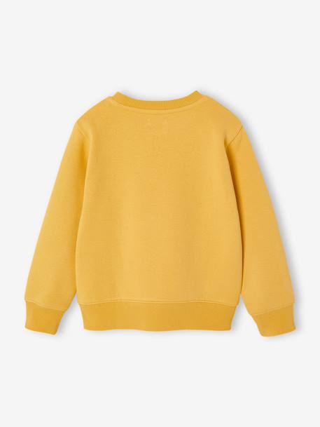 Fancy Sweatshirt for Boys green+marl white+ochre+pale blue 