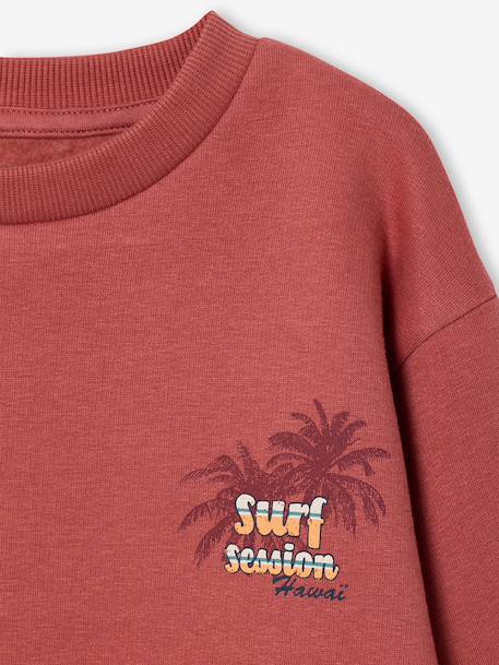 Long Sleeve Sweatshirt with Round Neckline for Boys dusky pink+pastel yellow 