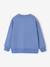 Graphic round neck sweatshirt for boys grey blue+marl white 