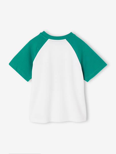 Raglan sleeve t-shirt for boys green 