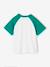Raglan sleeve t-shirt for boys green 