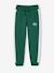 Boys' joggers with side stripe bordeaux red+green+marl grey+red 