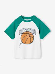 Boys-Raglan sleeve t-shirt for boys 