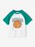 Raglan sleeve t-shirt for boys green 