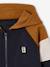 Zipped hooded sweatshirt for boys with colour block design bordeaux red+green+marl grey+medium blue+ochre 