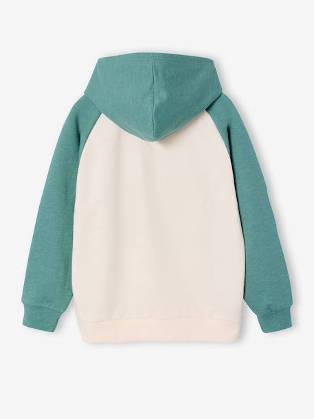 Hooded sweatshirt for boys PAT PATROUILLE sage green 