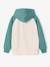 Hooded sweatshirt for boys PAT PATROUILLE sage green 