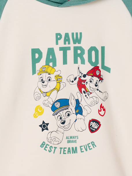 Hooded sweatshirt for boys PAT PATROUILLE sage green 