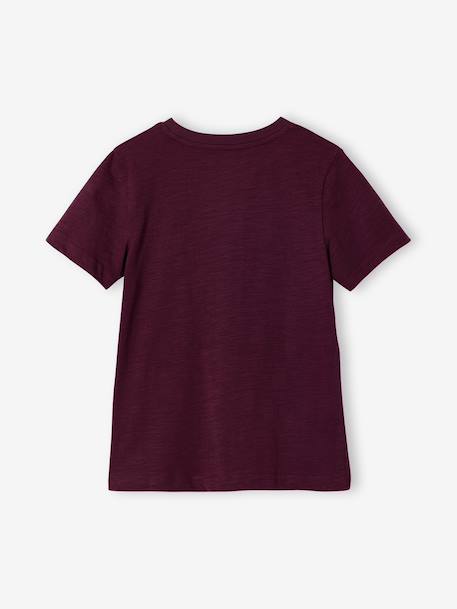 Short Sleeve T-Shirt, for Boys aubergine+Blue+Green+turquoise+white 