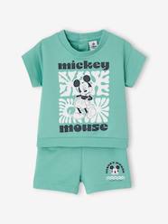 Mickey Mouse Shorts & T-Shirt Set for Babies