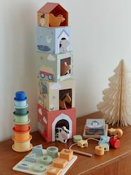Toys-Discovery set: FINE MOTOR SKILLS, BALANCE AND EARLY REASONING in FSC®100% wood