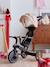 GLOBBER 4-in-1 evolving tricycle beige+black+blue+mint green+rose+sage green 