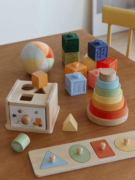 Discovery set: FINE MOTOR SKILLS AND EYE-HAND COORDINATION in FSC® wood multicoloured 