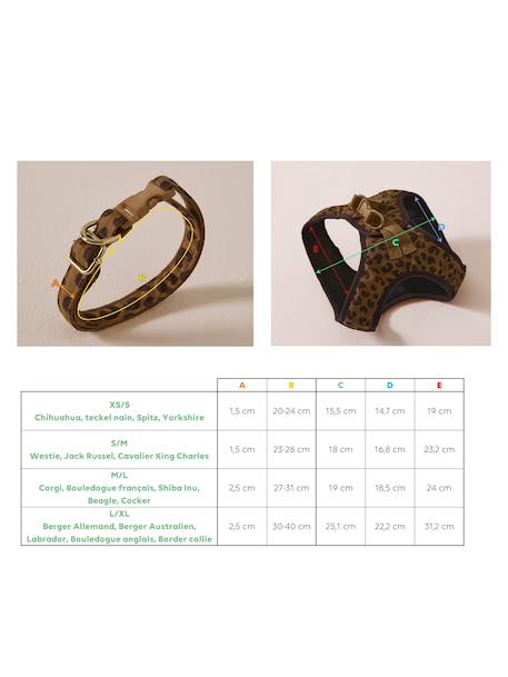Dog Walking Set: Harness + Lead + Collar coffee 