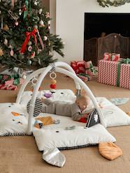 Toys-Baby & Pre-School Toys-Playmats-Developmental Play Mat with Arches 