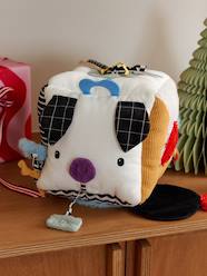 Toys-Sensory Activity Cube 