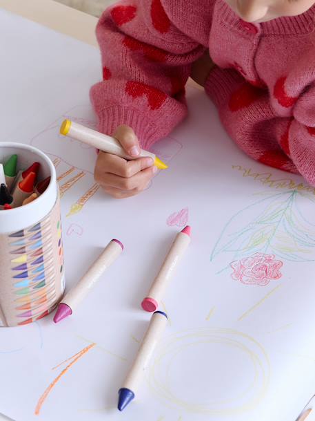 Box of 24 Wax Crayons multicoloured 