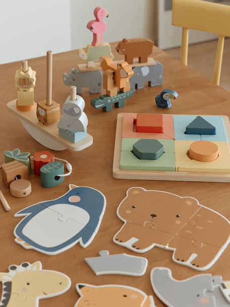 Discovery set: FINE MOTOR SKILLS, PROBLEM SOLVING, CONCENTRATION AND BALANCE in FSC® wood multicoloured 