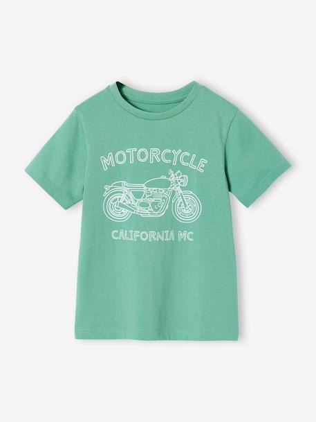 Printed boy's t-shirt aqua green+marl white+medium blue+mint green+ochre+olive+terracotta 