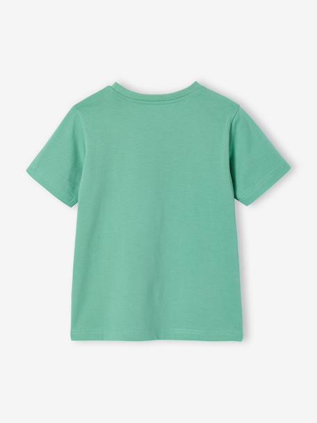 Printed boy's t-shirt aqua green+marl white+medium blue+mint green+ochre+olive+terracotta 