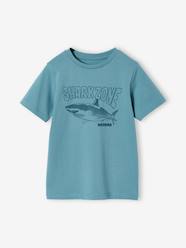Boys-Printed boy's t-shirt