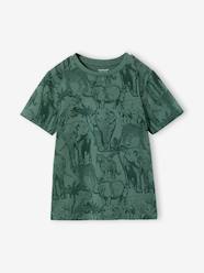 Boys-Printed boy's t-shirt