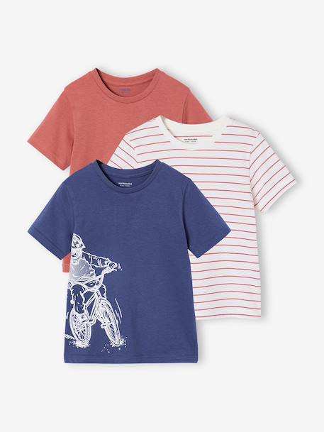 Pack of 3 short-sleeved t-shirts caramel+navy blue+pecan nut+sage green 