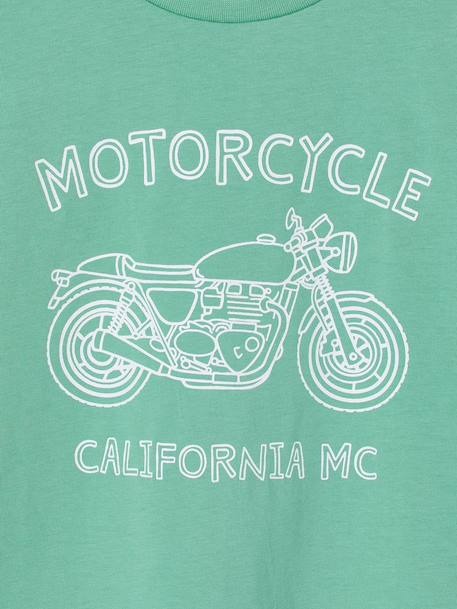 Printed boy's t-shirt aqua green+marl white+medium blue+mint green+ochre+olive+terracotta 