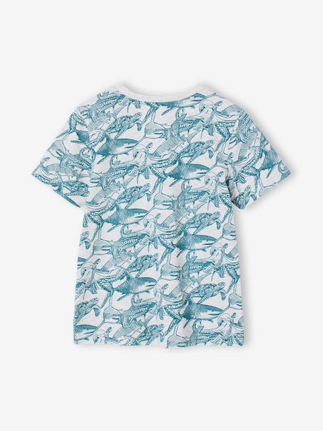 Printed boy's t-shirt denim blue+lichen+marl white+mint green 