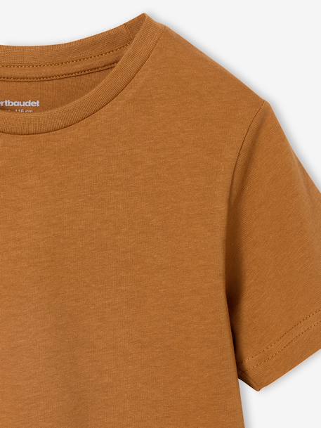 Pack of 3 short-sleeved t-shirts caramel+navy blue+pecan nut+sage green 