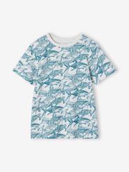 Boys-Printed boy's t-shirt