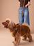 Dog Walking Set: Harness + Lead + Collar coffee 