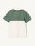 Colourblock T-Shirt for Boys BLUE MEDIUM SOLID WITH DESIGN+English green+mint green+ochre+ORANGE MEDIUM SOLID WITH DESIG 
