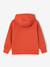 Hoodie with Motif on Chest for Boys, Basics orange+sage green 