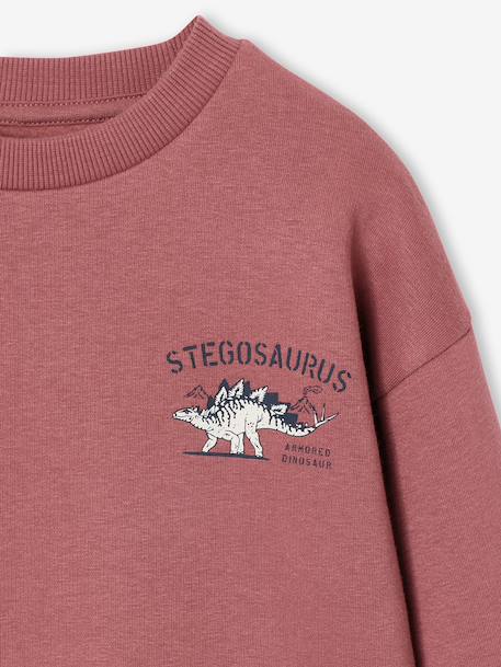 Pack of 2 'Cool and Fun' sweatshirts terracotta+tomato red 