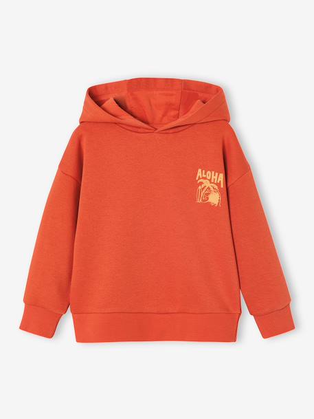 Hoodie with Motif on Chest for Boys, Basics orange+sage green 