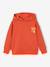 Hoodie with Motif on Chest for Boys, Basics orange+sage green 